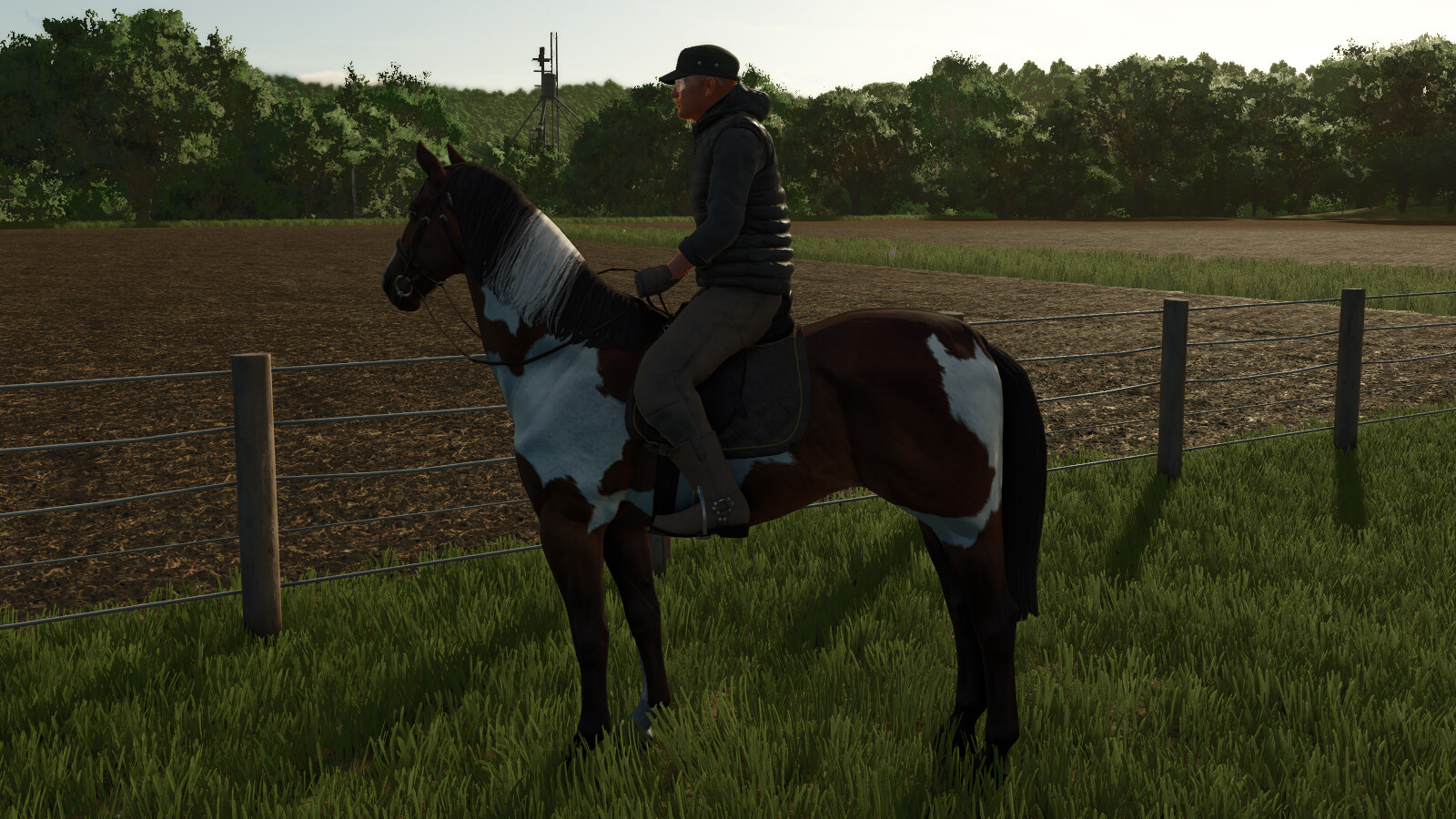 Immagine della mod HorseHelper
